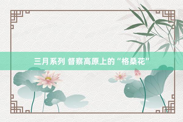 三月系列 督察高原上的“格桑花”