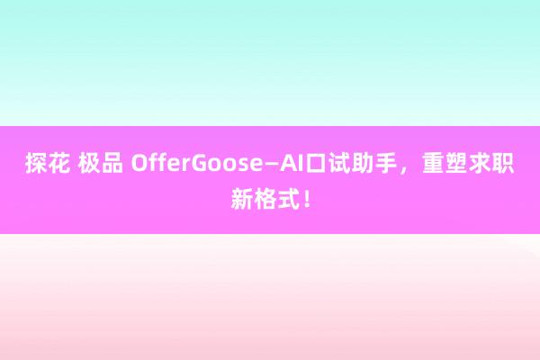 探花 极品 OfferGoose—AI口试助手，重塑求职新格式！