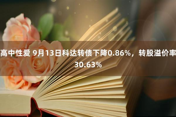 高中性爱 9月13日科达转债下降0.86%，转股溢价率30.63%