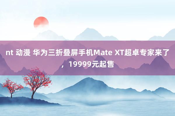 nt 动漫 华为三折叠屏手机Mate XT超卓专家来了，19999元起售