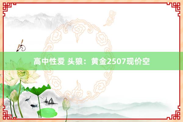 高中性爱 头狼：黄金2507现价空