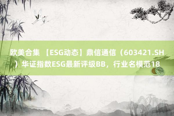 欧美合集 【ESG动态】鼎信通信（603421.SH）华证指数ESG最新评级BB，行业名模范18