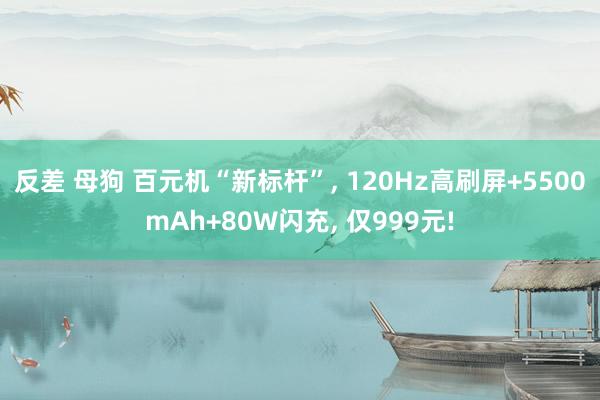 反差 母狗 百元机“新标杆”， 120Hz高刷屏+5500mAh+80W闪充， 仅999元!