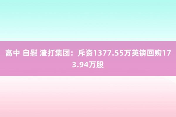 高中 自慰 渣打集团：斥资1377.55万英镑回购173.94万股