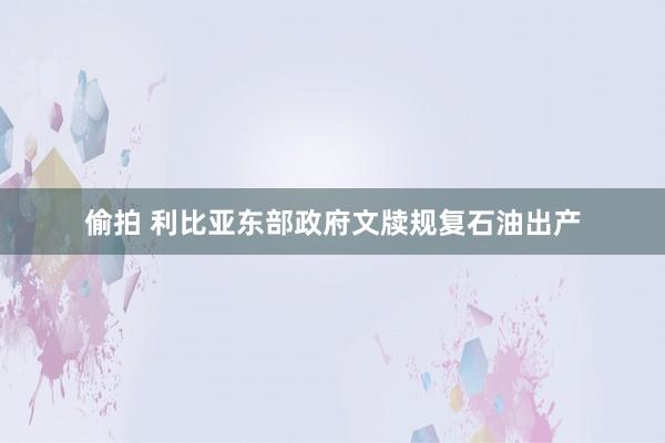 偷拍 利比亚东部政府文牍规复石油出产