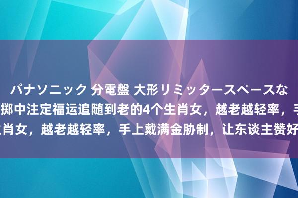 パナソニック 分電盤 大形リミッタースペースなし 露出・半埋込両用形 掷中注定福运追随到老的4个生肖女，越老越轻率，手上戴满金胁制，让东谈主赞好意思！