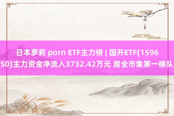 日本萝莉 porn ETF主力榜 | 国开ETF(159650)主力资金净流入3732.42万元 居全市集第一梯队