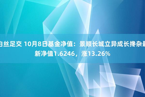 白丝足交 10月8日基金净值：景顺长城立异成长搀杂最新净值1.6246，涨13.26%