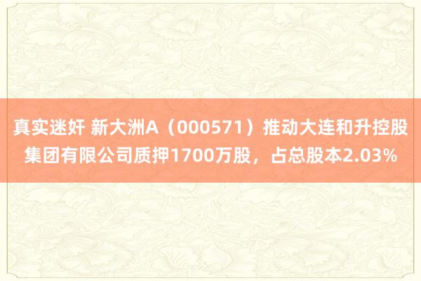 真实迷奸 新大洲A（000571）推动大连和升控股集团有限公司质押1700万股，占总股本2.03%