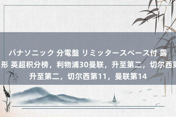 パナソニック 分電盤 リミッタースペース付 露出・半埋込両用形 英超积分榜，利物浦30曼联，升至第二，切尔西第11，曼联第14