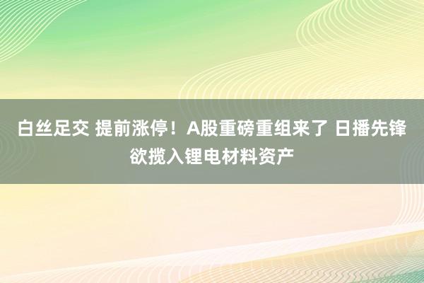 白丝足交 提前涨停！A股重磅重组来了 日播先锋欲揽入锂电材料资产