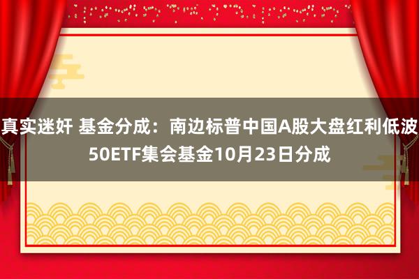 真实迷奸 基金分成：南边标普中国A股大盘红利低波50ETF集会基金10月23日分成