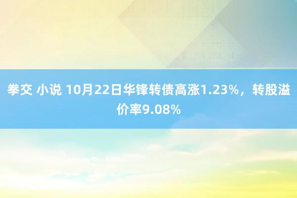 拳交 小说 10月22日华锋转债高涨1.23%，转股溢价率9.08%