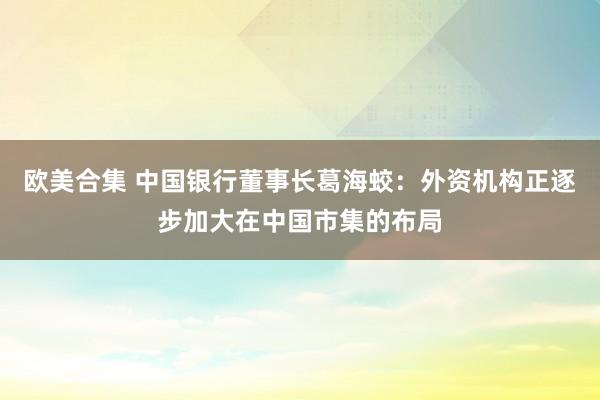 欧美合集 中国银行董事长葛海蛟：外资机构正逐步加大在中国市集的布局