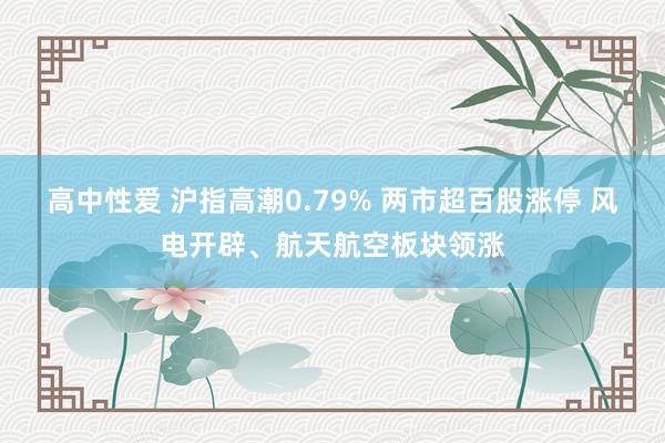 高中性爱 沪指高潮0.79% 两市超百股涨停 风电开辟、航天航空板块领涨