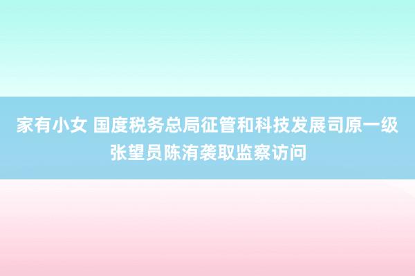 家有小女 国度税务总局征管和科技发展司原一级张望员陈洧袭取监察访问