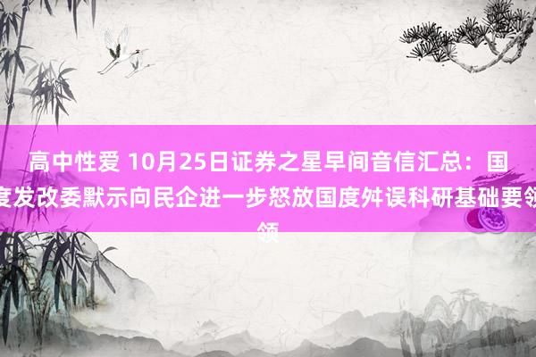 高中性爱 10月25日证券之星早间音信汇总：国度发改委默示向民企进一步怒放国度舛误科研基础要领