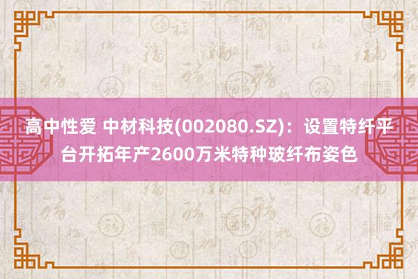 高中性爱 中材科技(002080.SZ)：设置特纤平台开拓年产2600万米特种玻纤布姿色