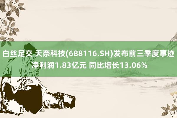 白丝足交 天奈科技(688116.SH)发布前三季度事迹 净利润1.83亿元 同比增长13.06%