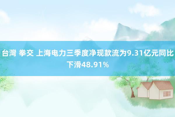 台灣 拳交 上海电力三季度净现款流为9.31亿元同比下滑48.91%