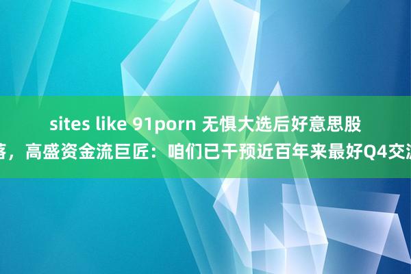 sites like 91porn 无惧大选后好意思股下落，高盛资金流巨匠：咱们已干预近百年来最好Q4交游期