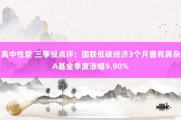 高中性爱 三季报点评：国联低碳经济3个月握有羼杂A基金季度涨幅9.90%