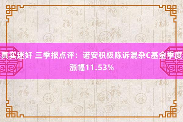 真实迷奸 三季报点评：诺安积极陈诉混杂C基金季度涨幅11.53%