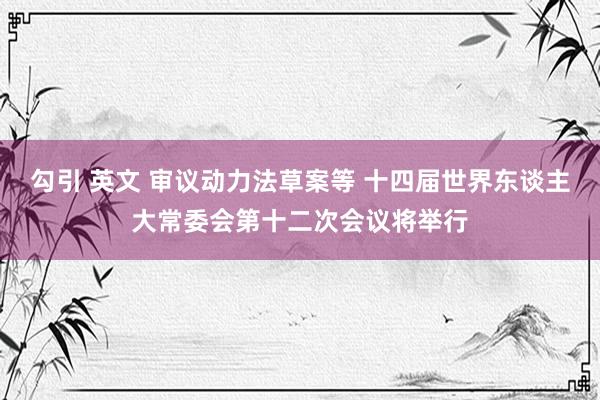 勾引 英文 审议动力法草案等 十四届世界东谈主大常委会第十二次会议将举行