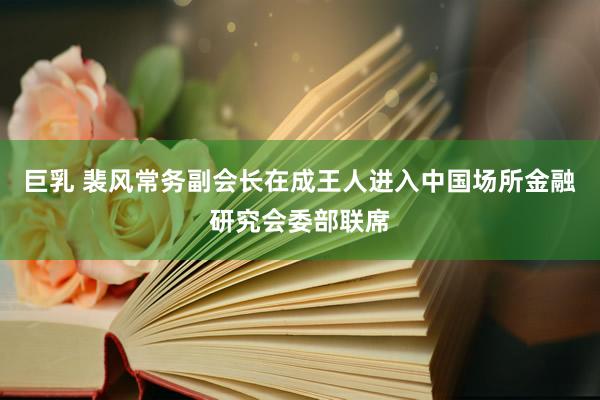 巨乳 裴风常务副会长在成王人进入中国场所金融研究会委部联席