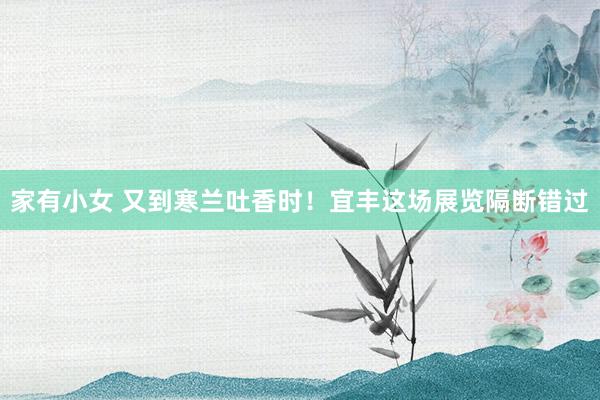 家有小女 又到寒兰吐香时！宜丰这场展览隔断错过