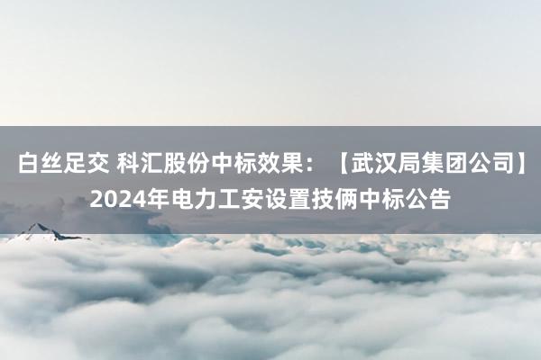 白丝足交 科汇股份中标效果：【武汉局集团公司】2024年电力工安设置技俩中标公告