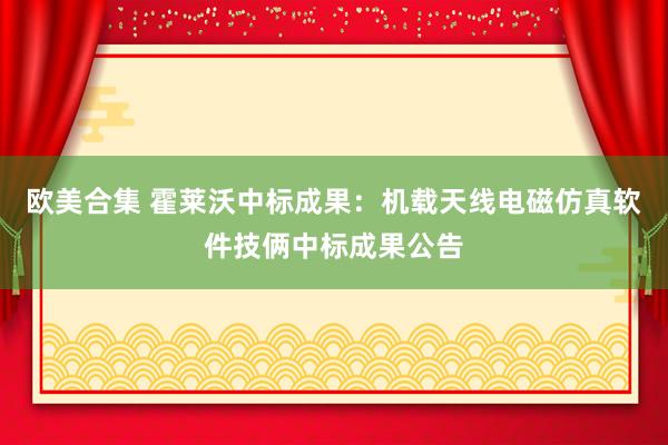 欧美合集 霍莱沃中标成果：机载天线电磁仿真软件技俩中标成果公告