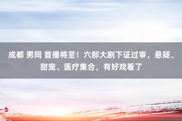 成都 男同 首播将至！六部大剧下证过审，悬疑、甜宠、医疗集合，有好戏看了