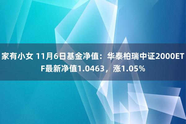 家有小女 11月6日基金净值：华泰柏瑞中证2000ETF最新净值1.0463，涨1.05%