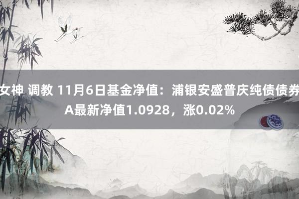 女神 调教 11月6日基金净值：浦银安盛普庆纯债债券A最新净值1.0928，涨0.02%