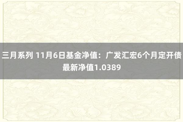 三月系列 11月6日基金净值：广发汇宏6个月定开债最新净值1.0389