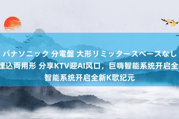 パナソニック 分電盤 大形リミッタースペースなし 露出・半埋込両用形 分享KTV迎AI风口，巨嗨智能系统开启全新K歌纪元