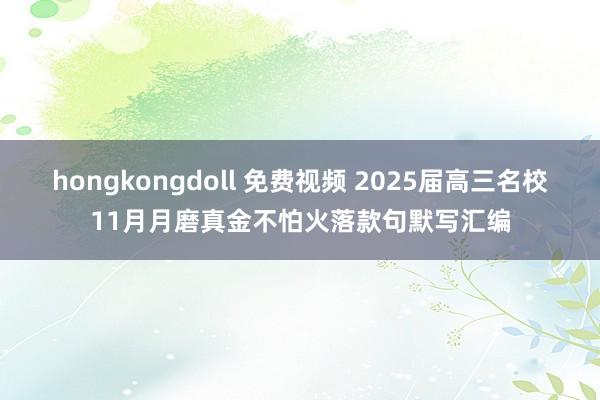 hongkongdoll 免费视频 2025届高三名校11月月磨真金不怕火落款句默写汇编