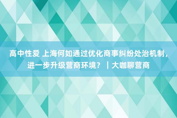 高中性爱 上海何如通过优化商事纠纷处治机制，进一步升级营商环境？｜大咖聊营商