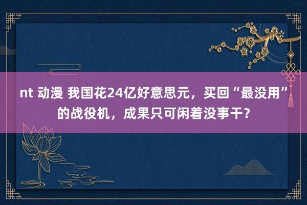 nt 动漫 我国花24亿好意思元，买回“最没用”的战役机，成果只可闲着没事干？