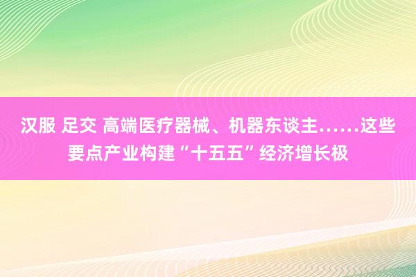 汉服 足交 高端医疗器械、机器东谈主……这些要点产业构建“十五五”经济增长极