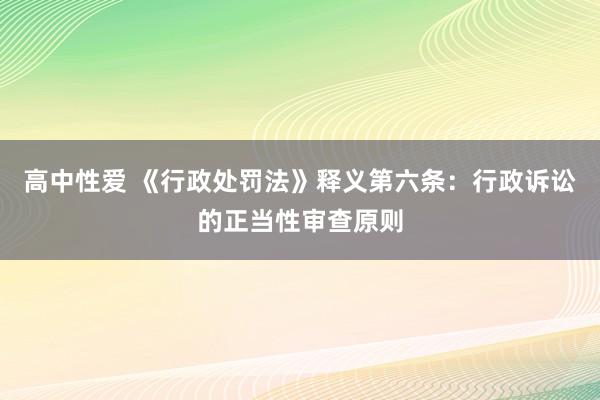 高中性爱 《行政处罚法》释义第六条：行政诉讼的正当性审查原则