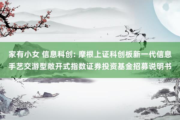 家有小女 信息科创: 摩根上证科创板新一代信息手艺交游型敞开式指数证券投资基金招募说明书