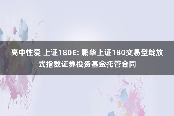 高中性爱 上证180E: 鹏华上证180交易型绽放式指数证券投资基金托管合同