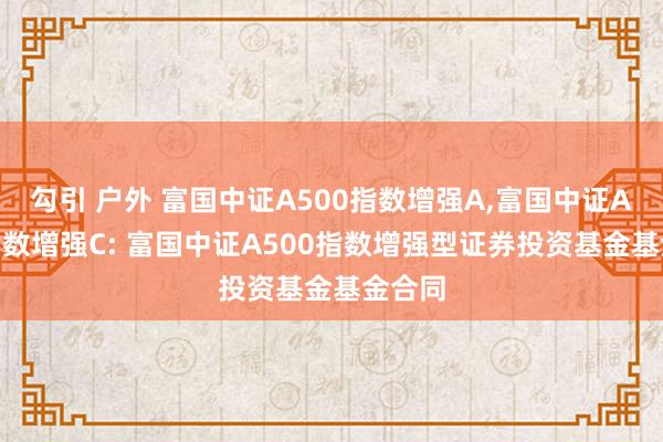 勾引 户外 富国中证A500指数增强A，富国中证A500指数增强C: 富国中证A500指数增强型证券投资基金基金合同