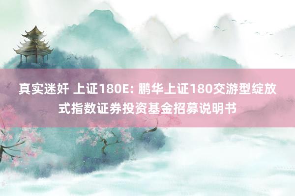 真实迷奸 上证180E: 鹏华上证180交游型绽放式指数证券投资基金招募说明书