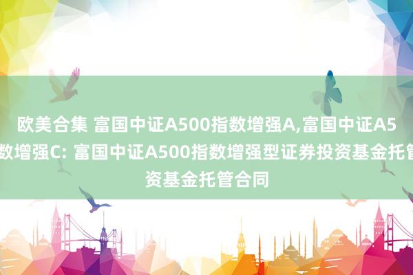 欧美合集 富国中证A500指数增强A，富国中证A500指数增强C: 富国中证A500指数增强型证券投资基金托管合同