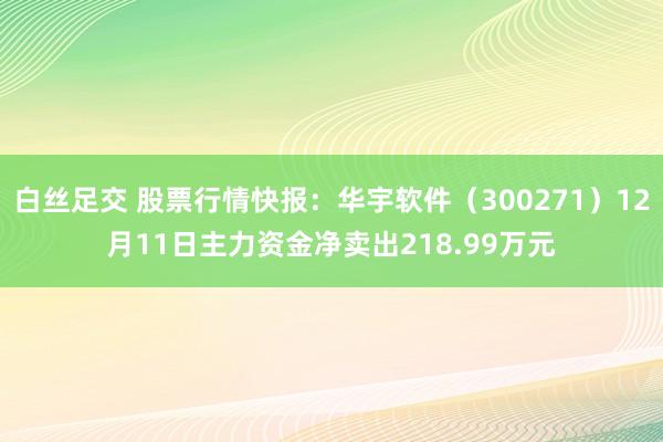 白丝足交 股票行情快报：华宇软件（300271）12月11日主力资金净卖出218.99万元