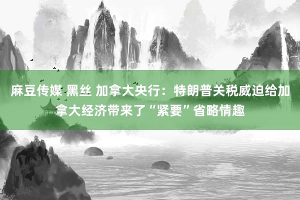 麻豆传媒 黑丝 加拿大央行：特朗普关税威迫给加拿大经济带来了“紧要”省略情趣