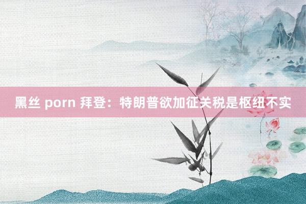 黑丝 porn 拜登：特朗普欲加征关税是枢纽不实